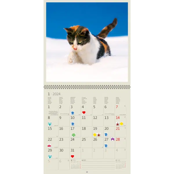 Muurkalender Cats 2024 - Januari