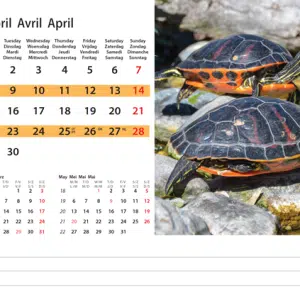 Kantoorkalender Wildlife 2024 - April