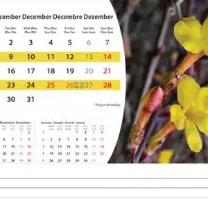 Bureaukalender Flowers 2025 - December