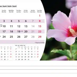 Bureaukalender Flowers 2025 - Juni