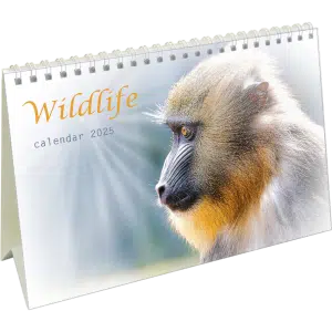 Bureaukalender Wildlife 2025