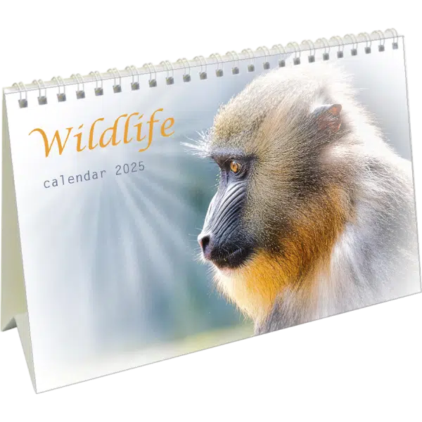 Bureaukalender Wildlife 2025