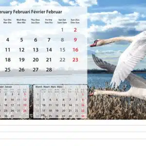 Bureaukalender Beautiful Nature 2025 - Februari