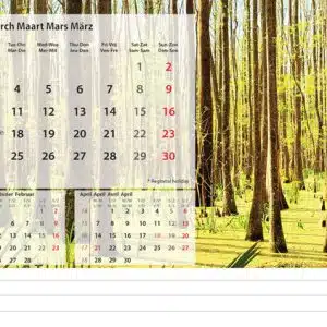 Bureaukalender Beautiful Nature 2025 - Maart