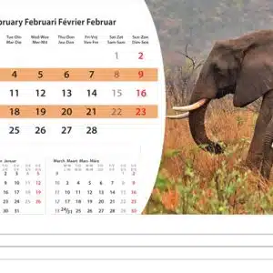 Bureaukalender Wildlife 2025 - Februari