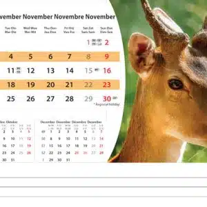 Bureaukalender Wildlife 2025 - November