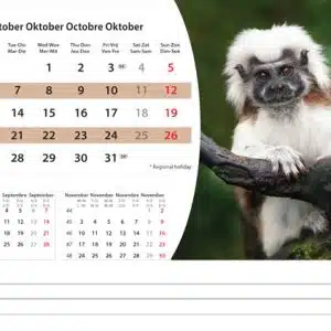 Bureaukalender Wildlife 2025 - Oktober