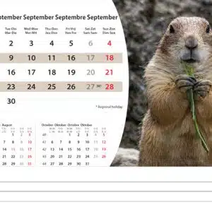 Bureaukalender Wildlife 2025 - September