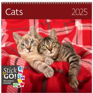 Muurkalender Cats 2025