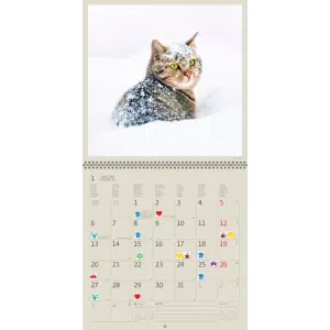 Muurkalender Cats 2025 - Januari