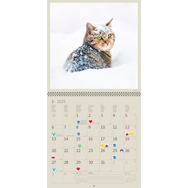 Muurkalender Cats 2025 - Januari