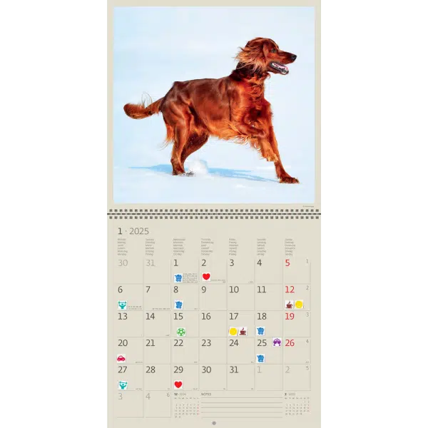 Muurkalender Dogs 2025 - Januari