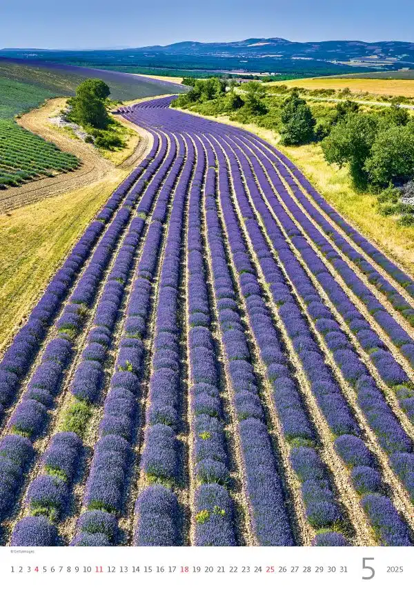 Muurkalender Provence 2025 - Mei