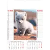 Muurkalender Wild & Free 2025