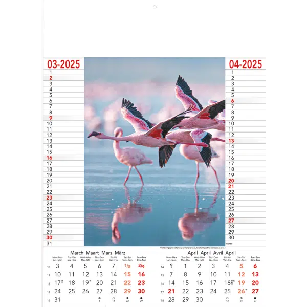 Muurkalender Wild & Free 2025 - pagina 2