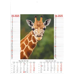 Muurkalender Wild & Free 2025 - pagina 3