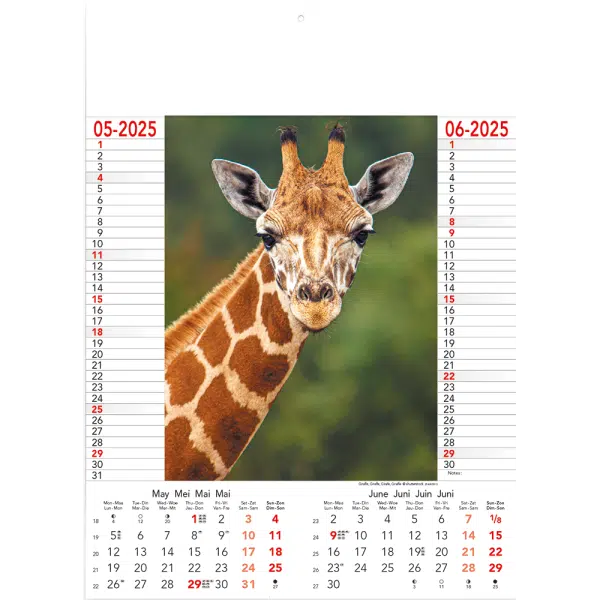 Muurkalender Wild & Free 2025 - pagina 3