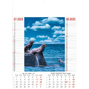 Muurkalender Wild & Free 2025 - pagina 4