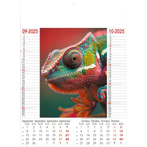 Muurkalender Wild & Free 2025 - pagina 5