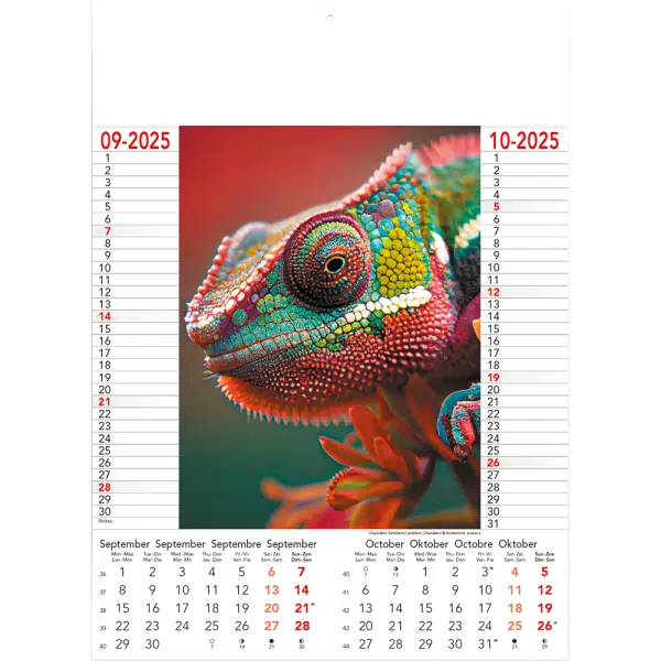 Muurkalender Wild & Free 2025 - pagina 5